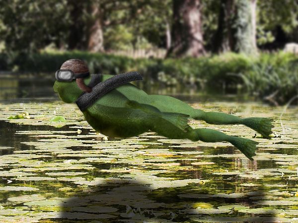 Creation of flying frog: Final Result